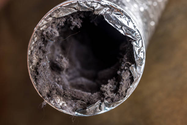 Best Affordable Air Duct Cleaning  in Jesup, IA