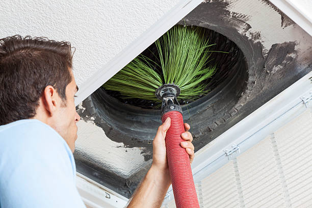 Best Home Air Vent Cleaning  in Jesup, IA